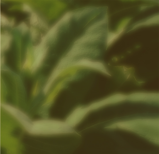 招投標(biāo)